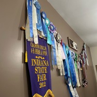 wall ribbons
