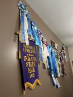 wall ribbons