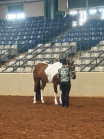 2026middle tn show0