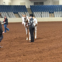 2026middle tn show2