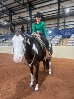 2026middle tn show4