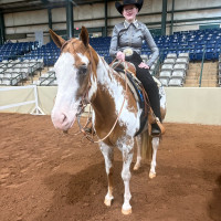 2026middle tn show6