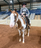 2026middle tn show6