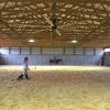 images/riding-lessons/riding_lesson_in_arena.jpg