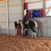 images/riding-lessons/riding_lesson_on_the_wall.jpg